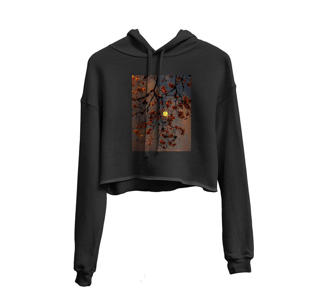 The Sign Of Autumn Graphic Cropped Hoodie