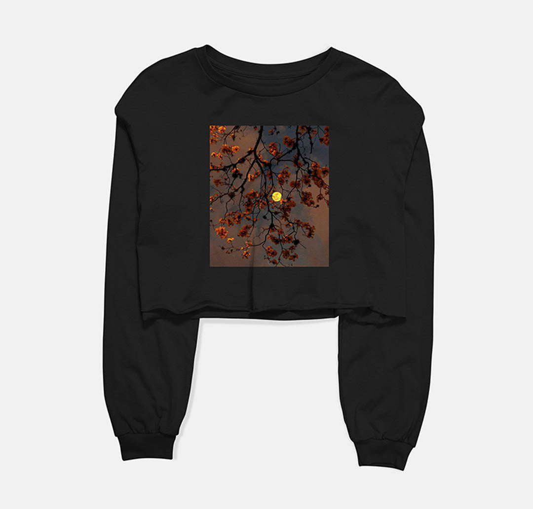 The Sign Of Autumn Graphic Cropped Sweatshirt